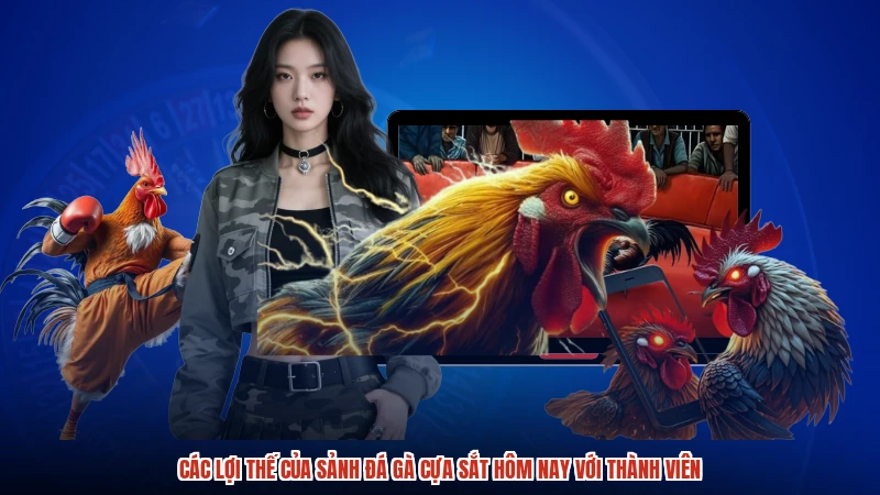 Các lợi thế của sảnh đá gà cựa sắt hôm nay với thành viên Các lợi thế của sảnh đá gà cựa sắt hôm nay với thành viên