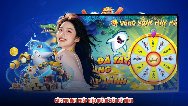 Các phương pháp hiệu quả để săn cá vàng