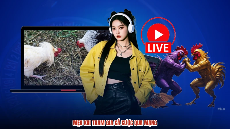 Mẹo khi tham gia cá cược qua mạng
