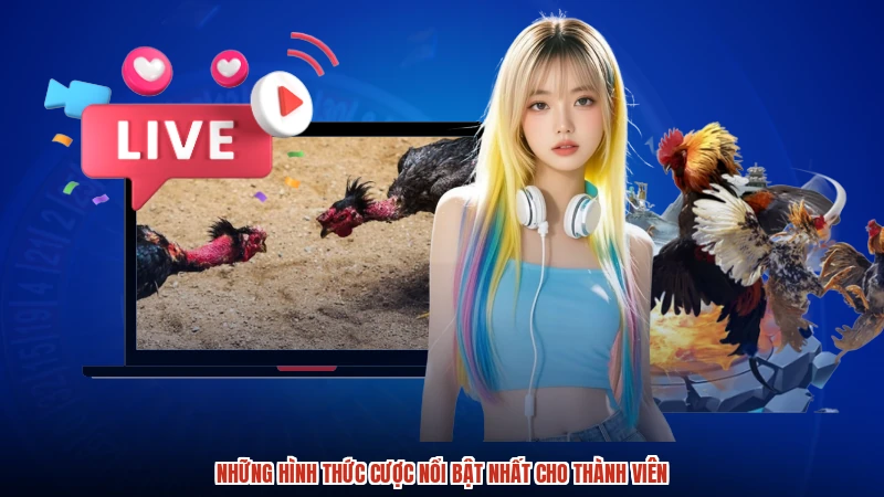 Những hình thức cược nổi bật nhất cho thành viên