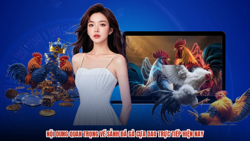 Nội dung quan trọng về sảnh đá gà cựa dao trực tiếp hiện nay Nội dung quan trọng về sảnh đá gà cựa dao trực tiếp hiện nay