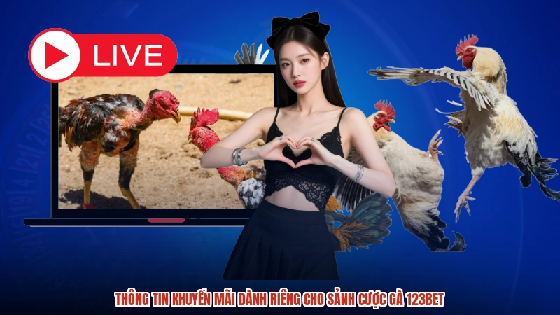 Thông tin khuyến mãi dành riêng cho sảnh cược gà 123BET Thông tin khuyến mãi dành riêng cho sảnh cược gà 123BET
