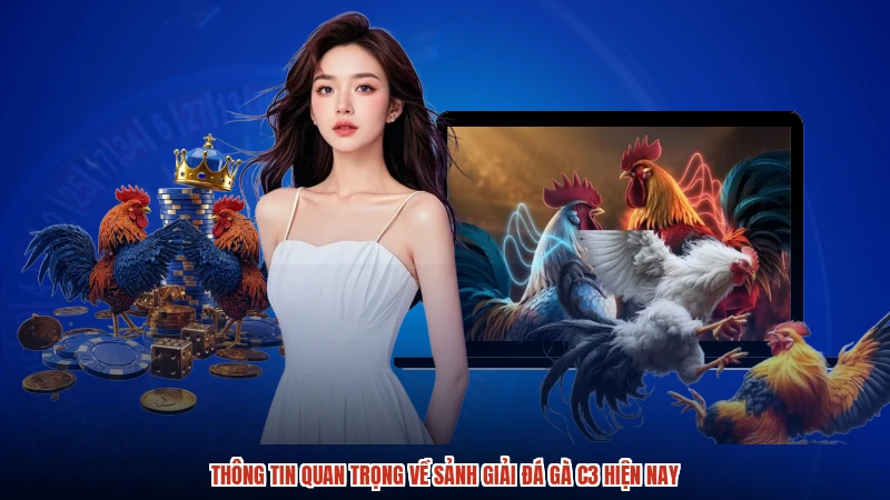 Thông tin quan trọng về sảnh giải đá gà C3 hiện nay Thông tin quan trọng về sảnh giải đá gà C3 hiện nay